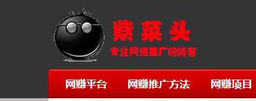 紫菜頭網賺博客 - 專注分享最新網賺項目