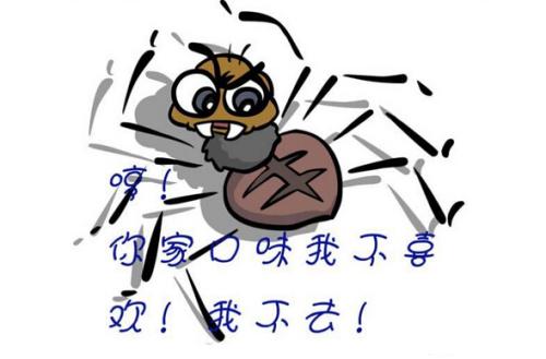 淺析:蜘蛛池到底有沒有用,蜘蛛池的原理是什么?