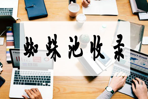 國際資源網SEO講解蜘蛛池對網站的影響