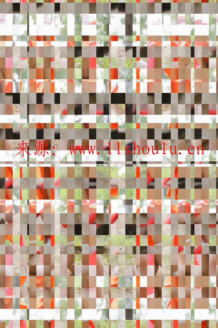 圖片混淆v1.0.1 把圖片變成可還原的馬賽克