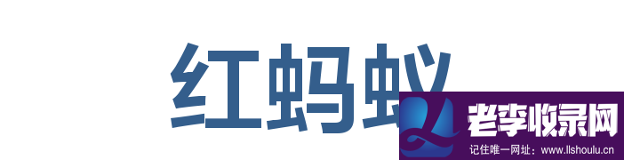 紅螞蟻