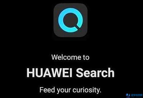 華為搜索業(yè)務國內正式上線