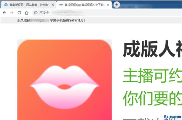 備案審核越來越嚴:備案域名遭搶注無法注銷