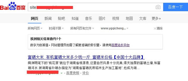 SEO實戰干貨：利用老域名打造新站快速收錄排名！