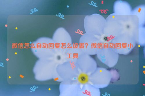 微信怎么自動回復怎么設置？微信自動回復小工具