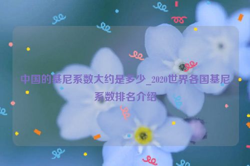 中國的基尼系數大約是多少_2020世界各國基尼系數排名介紹