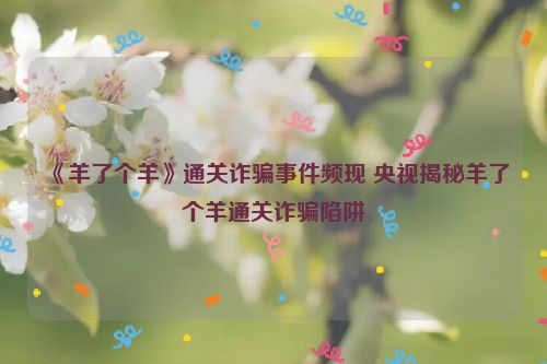 《羊了個羊》通關詐騙事件頻現 央視揭秘羊了個羊通關詐騙陷阱