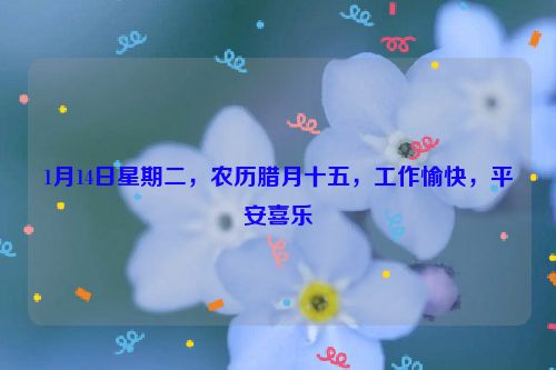 1月14日星期二，農歷臘月十五，工作愉快，平安喜樂