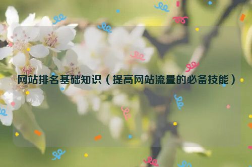 網(wǎng)站排名基礎(chǔ)知識(shí)（提高網(wǎng)站流量的必備技能）