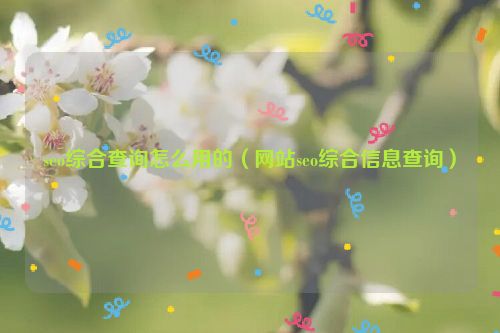 seo綜合查詢怎么用的（網站seo綜合信息查詢）