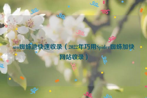 seo蜘蛛池快速收錄（2022年巧用Spider蜘蛛加快網站收錄）