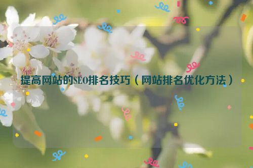 提高網(wǎng)站的SEO排名技巧（網(wǎng)站排名優(yōu)化方法）