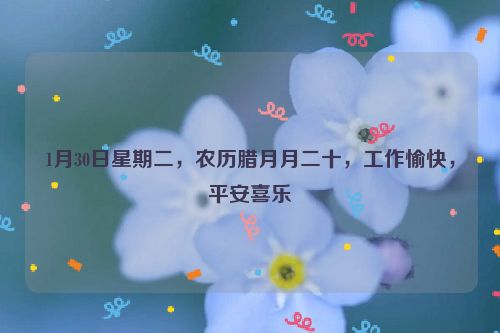 1月30日星期二，農歷臘月月二十，工作愉快，平安喜樂