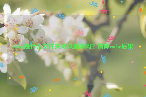 cache是什么文件夾可以刪除嗎？清除cache后果