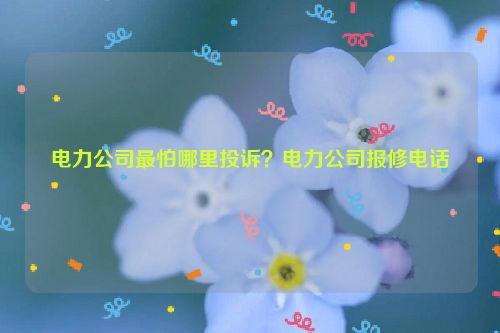 電力公司最怕哪里投訴？電力公司報修電話
