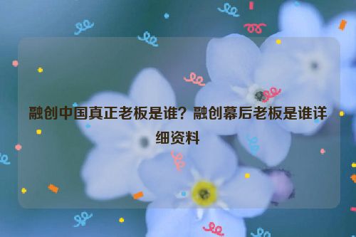 融創中國真正老板是誰？融創幕后老板是誰詳細資料