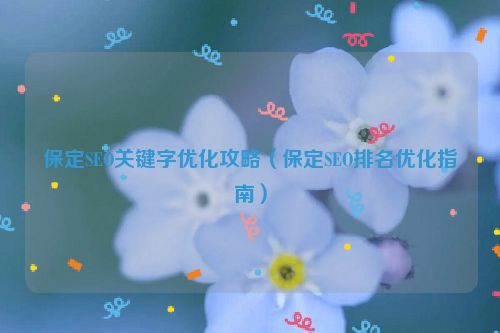 保定SEO關鍵字優化攻略（保定SEO排名優化指南）