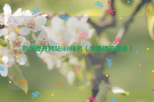 如何提升網站SEO排名（全面提高排名）