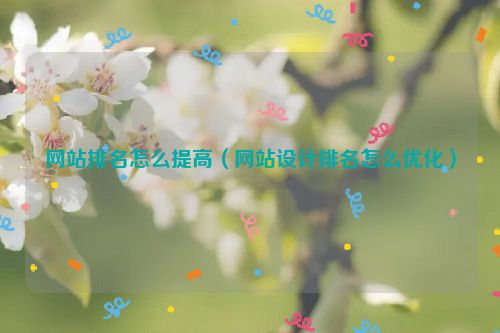 網(wǎng)站排名怎么提高（網(wǎng)站設(shè)計排名怎么優(yōu)化）