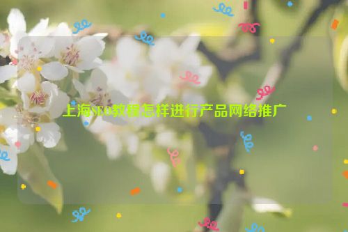 上海SEO教程怎樣進行產(chǎn)品網(wǎng)絡(luò)推廣