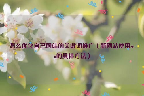 怎么優化自己網站的關鍵詞推廣（新網站使用seo的具體方法）