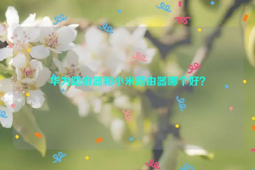 華為路由器和小米路由器哪個好？