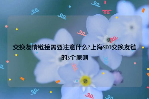 交換友情鏈接需要注意什么?上海SEO交換友鏈的5個原則