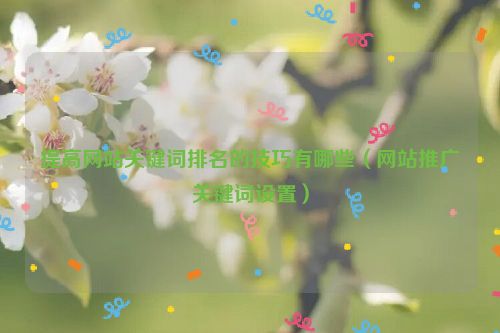 提高網站關鍵詞排名的技巧有哪些（網站推廣關鍵詞設置）