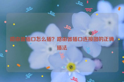 路由器插口怎么插？路由器插口連接圖的正確插法