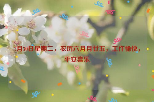 7月30日星期二，農歷六月月廿五，工作愉快，平安喜樂