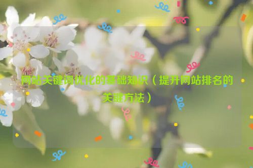 網站關鍵詞優化的基礎知識（提升網站排名的關鍵方法）