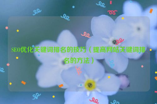 SEO優化關鍵詞排名的技巧（提高網站關鍵詞排名的方法）