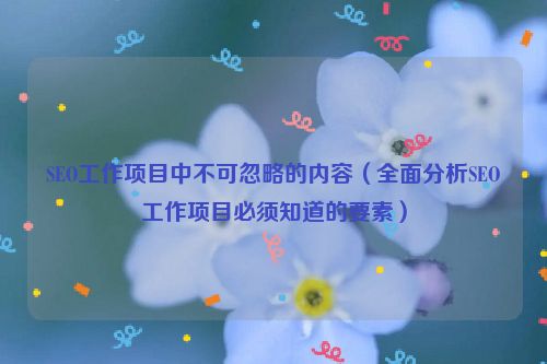 SEO工作項目中不可忽略的內容（全面分析SEO工作項目必須知道的要素）