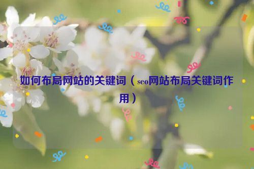 如何布局網站的關鍵詞（seo網站布局關鍵詞作用）