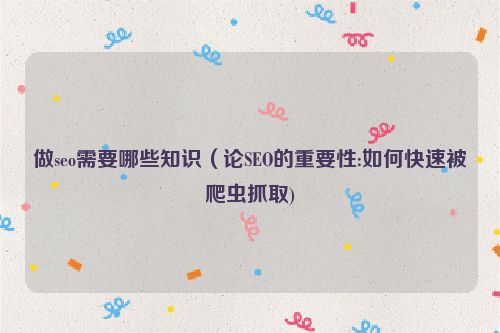 做seo需要哪些知識（論SEO的重要性:如何快速被爬蟲抓取)