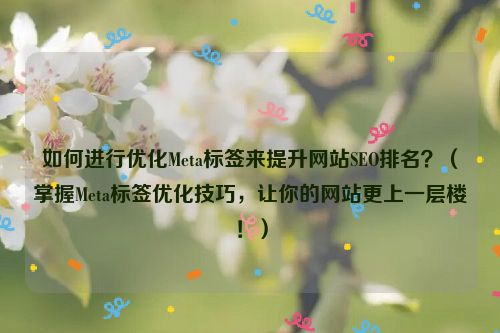 如何進行優(yōu)化Meta標簽來提升網(wǎng)站SEO排名？（掌握Meta標簽優(yōu)化技巧，讓你的網(wǎng)站更上一層樓！）