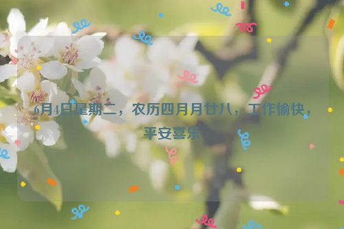 6月4日星期二，農歷四月月廿八，工作愉快，平安喜樂