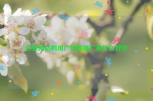 企業(yè)網(wǎng)站利用廣告做推廣有什么好處