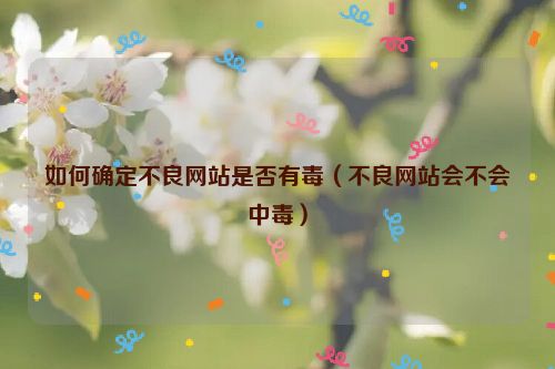 如何確定不良網(wǎng)站是否有毒（不良網(wǎng)站會(huì)不會(huì)中毒）