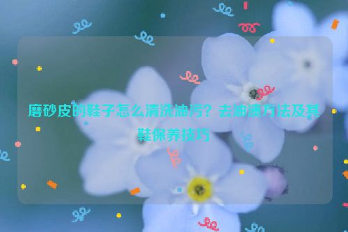 磨砂皮的鞋子怎么清洗油污？去油漬方法及其鞋保養(yǎng)技巧