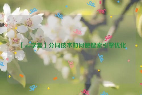 【seo學堂】分詞技術如何使搜索引擎優化