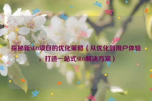 探秘新SEO項目的優(yōu)化策略（從優(yōu)化到用戶體驗，打造一站式SEO解決方案）