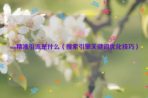 seo精準引流是什么（搜索引擎關鍵詞優化技巧）
