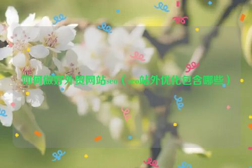 如何做好外貿(mào)網(wǎng)站seo（seo站外優(yōu)化包含哪些）