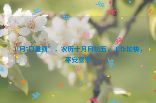 11月5日星期二，農歷十月月初五，工作愉快，平安喜樂