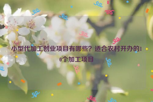 小型代加工創(chuàng)業(yè)項(xiàng)目有哪些？適合農(nóng)村開(kāi)辦的10個(gè)加工項(xiàng)目