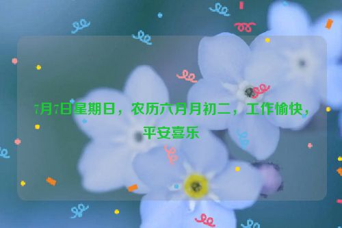 7月7日星期日，農歷六月月初二，工作愉快，平安喜樂
